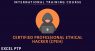 Professional Ethical Hacking Training