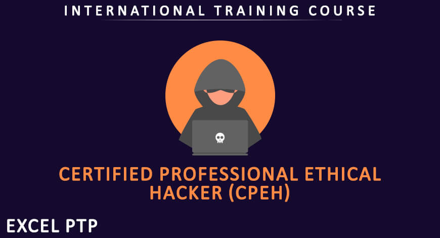 Professional Ethical Hacking Training